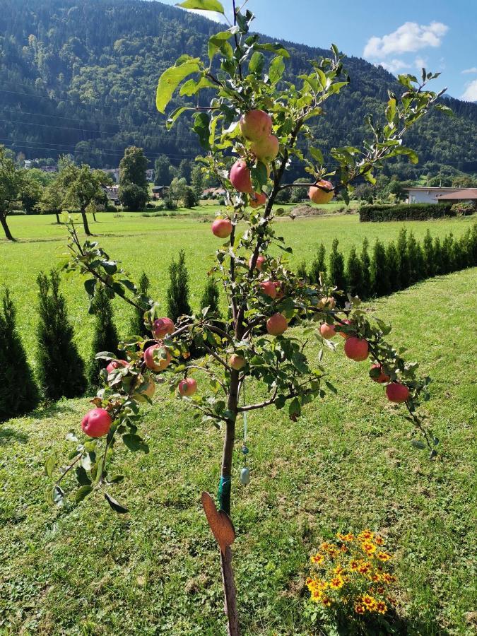 Apartment - Ferienwohnung 1 Treffen Am Ossiachersee 외부 사진